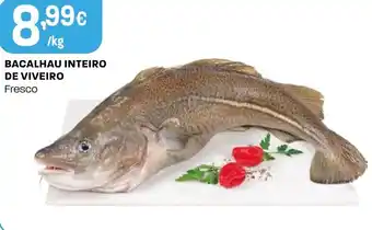 Intermarché Bacalhau inteiro de viveiro promoção