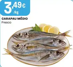 Intermarché Carapau médio promoção