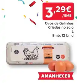 Amanhecer Ovos de Galinhas Criadas no solo L promoção