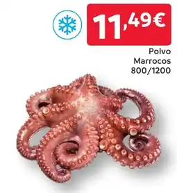 Amanhecer Polvo Marrocos 800/1200 promoção