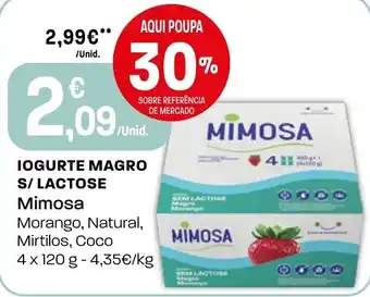 Intermarché Iogurte magro s/ lactose mimosa promoção