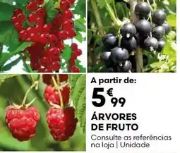 Bricomarché Árvores de fruto promoção