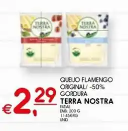 Meu Super Queijo flamengo original/ -50% gordura terra nostra promoção