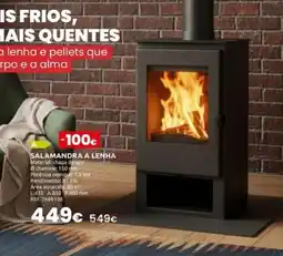 Casa Peixoto Salamandra a lenha promoção