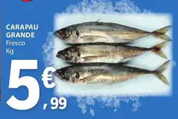 E.Leclerc Carapau grande fresco promoção