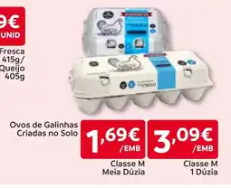 Amanhecer Ovos de Galinhas Criadas no Solo Classe M Meia Dúzia promoção
