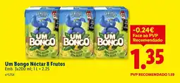 Lidl Um Bongo Néctar 8 Frutos promoção