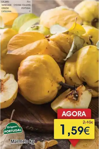 Froiz Marmelo promoção