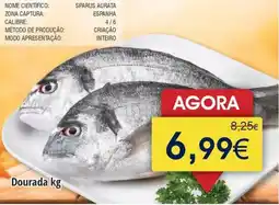 Froiz Dourada promoção