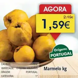 Froiz Marmelo promoção