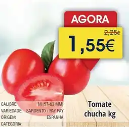 Froiz Tomate chucha promoção