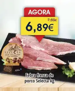 Froiz Febra fresca de porco Selecta promoção