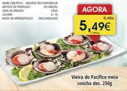 Froiz Vieira do Pacífico meia concha des. promoção