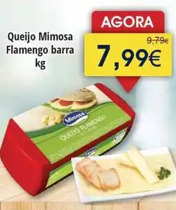 Froiz Queijo Mimosa Flamengo barra promoção