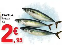 E.Leclerc CAVALA Fresca promoção