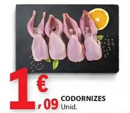 E.Leclerc Codornizes promoção