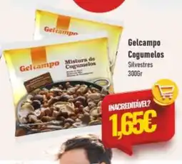 Belita Gelcampo Cogumelos Silvestres promoção