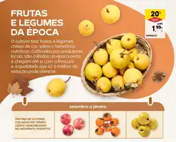 Continente Marmelo promoção