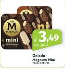 Roque Supermercados Gelado Magnum Mini promoção