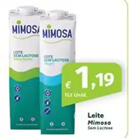 Roque Supermercados Leite Mimosa Sem Loctose promoção