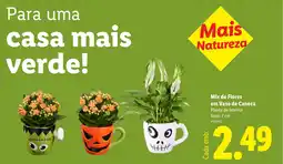 Lidl Mix de Flores em Vaso de Caneca promoção