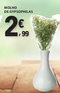 E.Leclerc Molho de gypsophilas promoção
