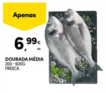 Continente Dourada média promoção