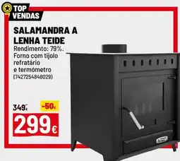 Brico Depôt Salamandra a lenha teide promoção