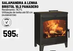 Brico Depôt Salamandra a lenha bristol 10,2 panadero promoção