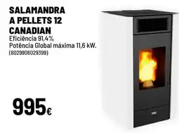 Brico Depôt Salamandra a pellets 12 canadian promoção