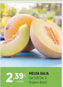 Coviran Meloa galia promoção