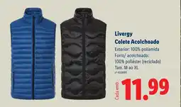 Lidl Livergy Colete Acolchoado promoção