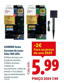 Lidl LIVARNO home Corrente de Luzes Solar 100 LEDs promoção