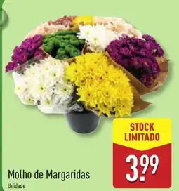 ALDI Molho de Margaridas promoção