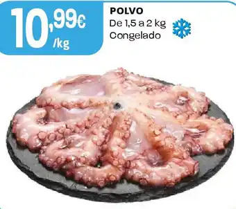 Intermarché Polvo promoção