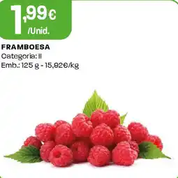 Intermarché Framboesa promoção