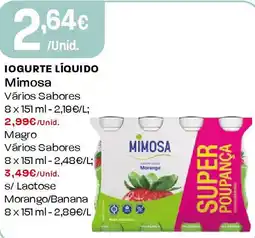 Intermarché Iogurte líquido mimosa promoção