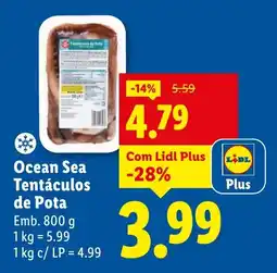 Lidl Ocean Sea Tentáculos de Pota promoção