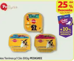 Minipreço Nas Terrinas p/ Cão PEDIGREE promoção