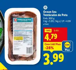 Lidl Ocean Sea Tentáculos de Pota promoção