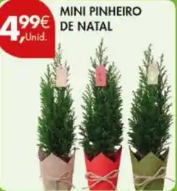 Pingo Doce Mini pinheiro natal promoção