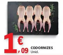 E.Leclerc Codornizes promoção