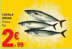 E.Leclerc Cavala média fresca promoção