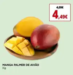 Supercor Manga palmer de avião promoção