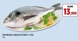 Supercor Dourada aquicultura +1kg promoção