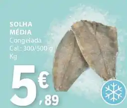 E.Leclerc Solha média promoção