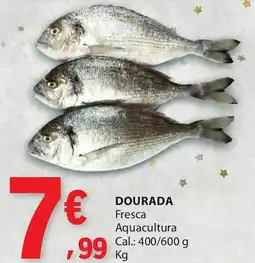 E.Leclerc Dourada promoção