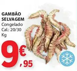 E.Leclerc Gambão selvagem promoção