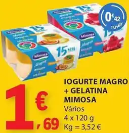 E.Leclerc Iogurte magro + gelatina mimosa promoção