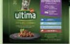 Comida húmida gato ultima